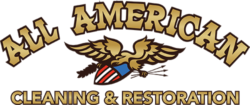 All American Cleaning Logo